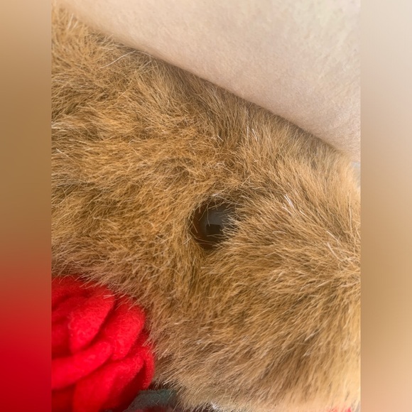 2005 Vermont 16” Teddy bear With Bouquet Of Red Roses - Picture 8 of 12